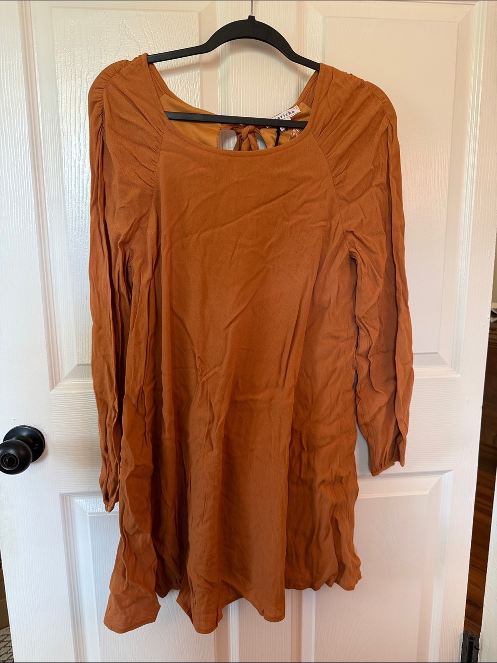 Love Riche Rust Mini Dress